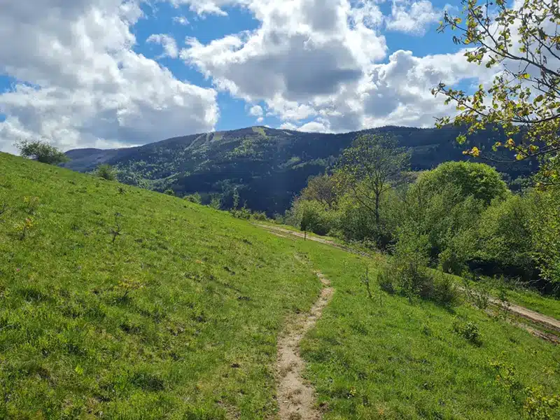 Randonnées massif Pt Ballon Sondernach